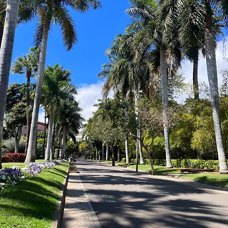 Апартаменты Santo Domingo Санта-Крус-де-Тенерифе