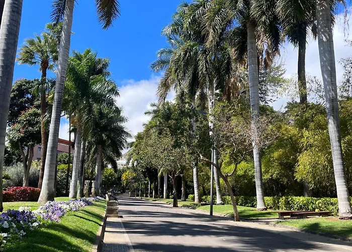 Апартаменты Santo Domingo Санта-Крус-де-Тенерифе